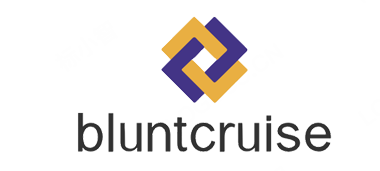 bluntcruise.com